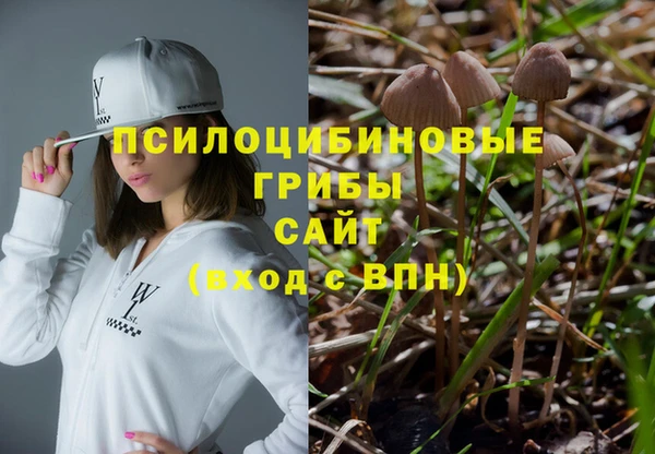 гидропоника Балахна