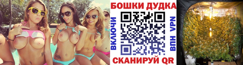 дарк нет формула  Киров  Бошки Шишки VHQ 